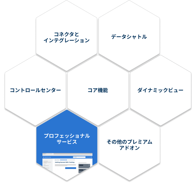 Professional services